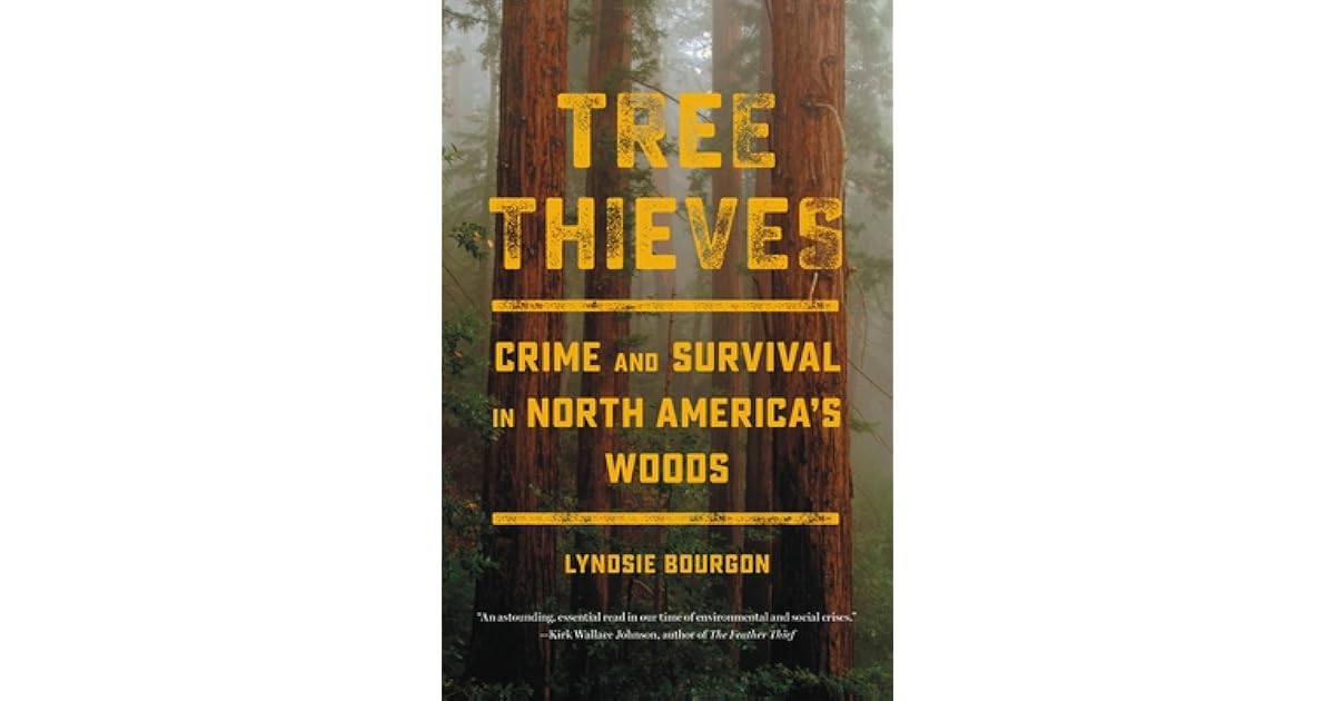 Tree Thieves Crime and Survival in North America's Woods by Lyndsie