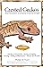 Crested Geckos: From the Experts at Advanced Vivarium Systems