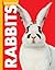 Curious About Rabbits (Curious About Pets)