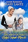 The Abandoned Baby's Amish Miracle: Hearts of the Amish: Book 1