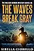 The Waves Break Gray (Raleigh Harmon PI Mysteries, #1)
