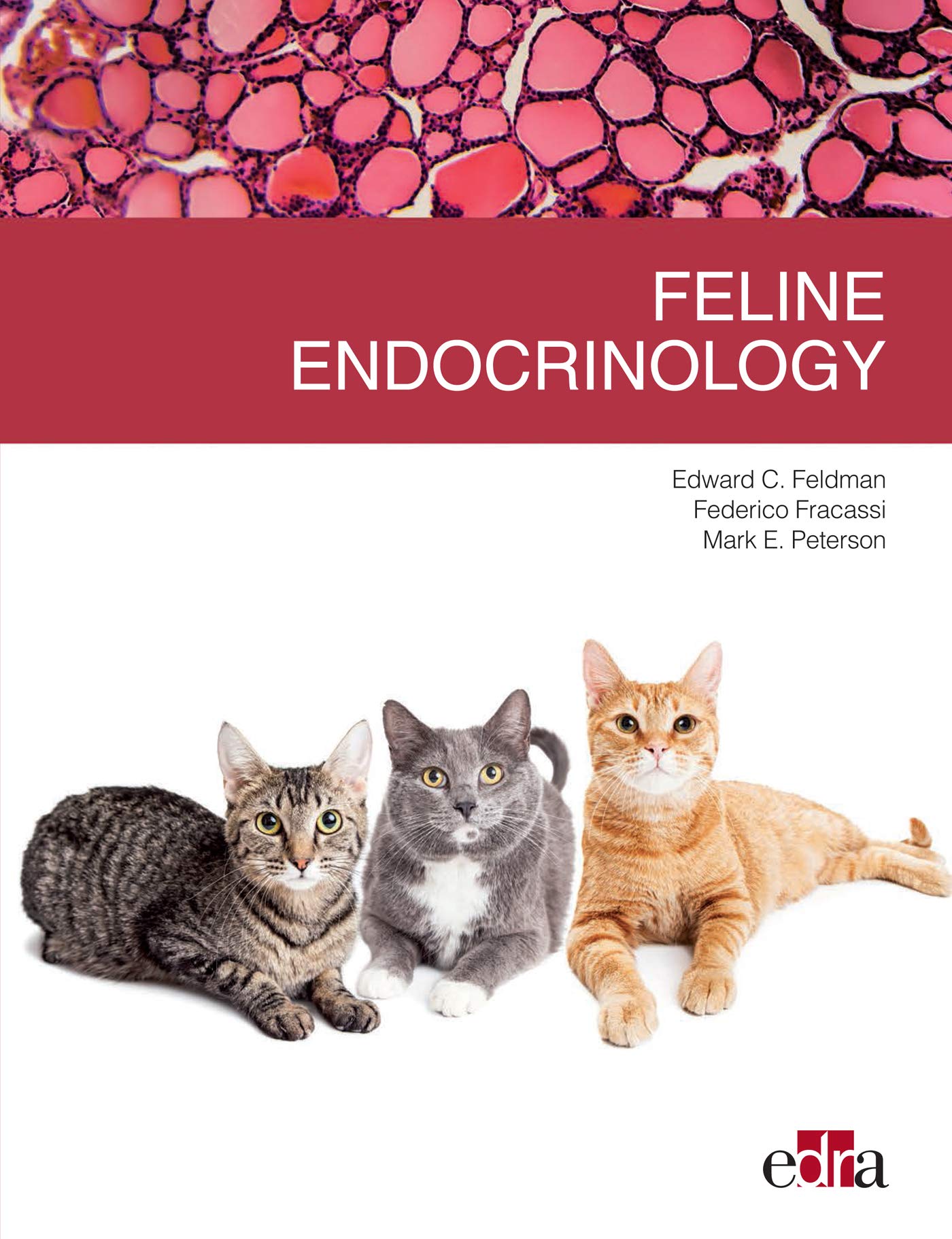 Feline endocrinology (Kindle Edition)