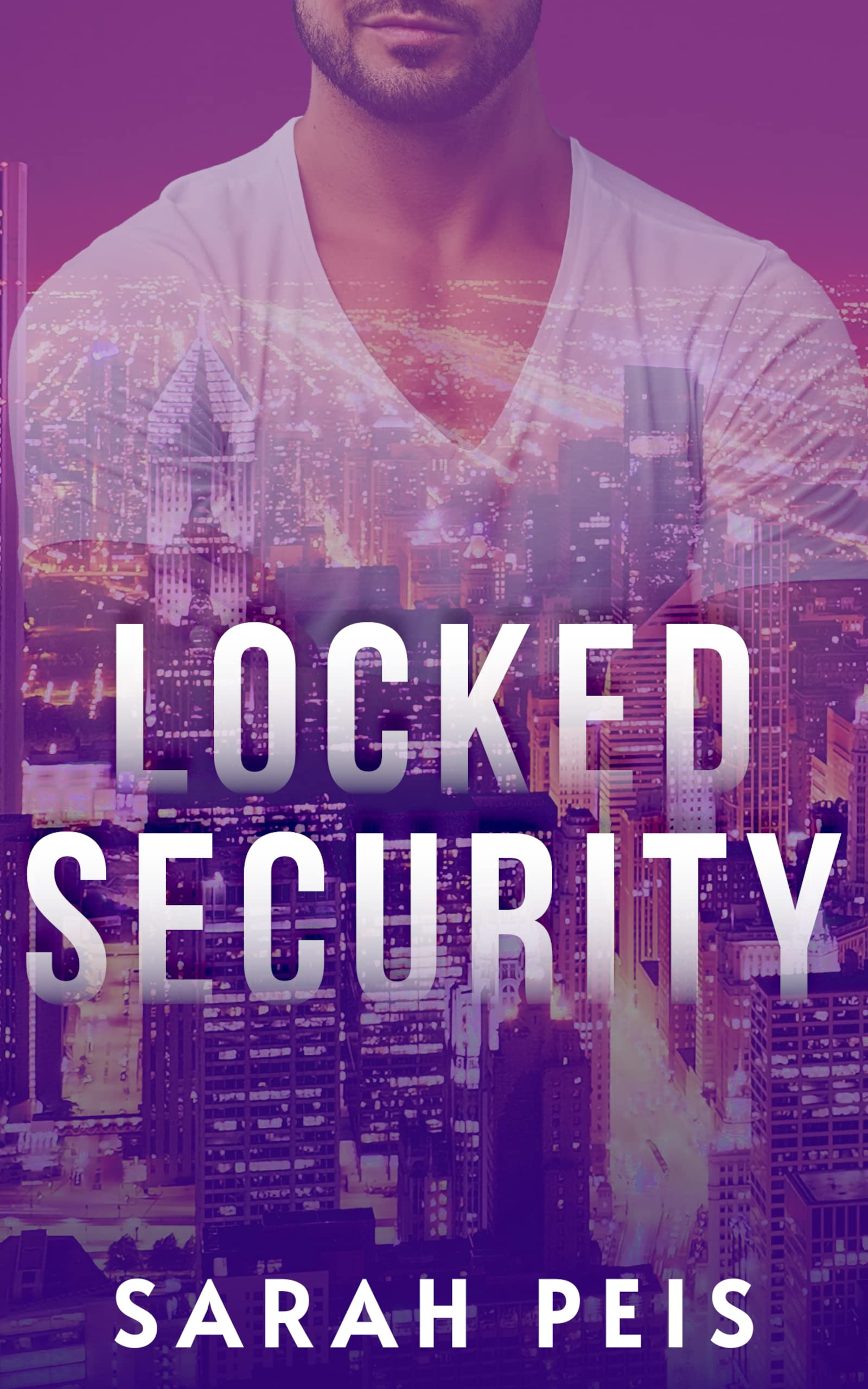 Locked Security (Locked Security, #0.5)