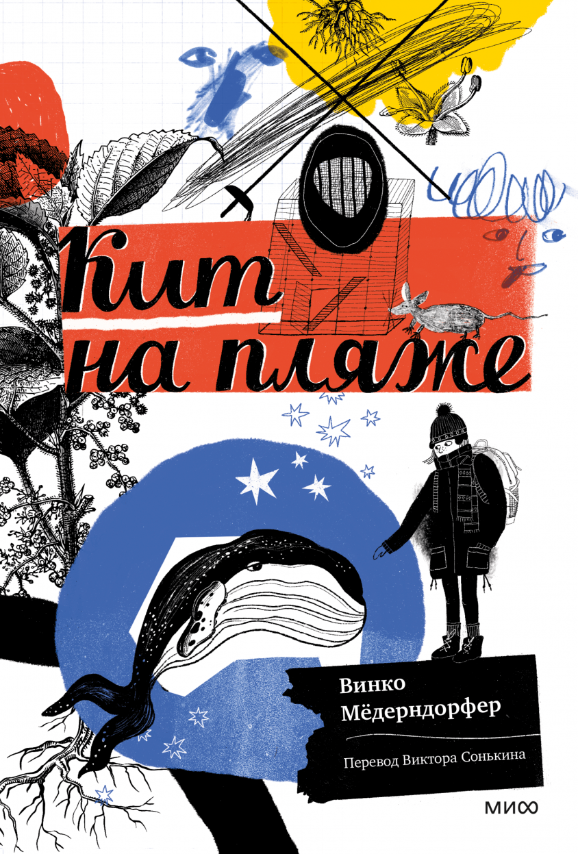 Кит на пляже (Paperback)
