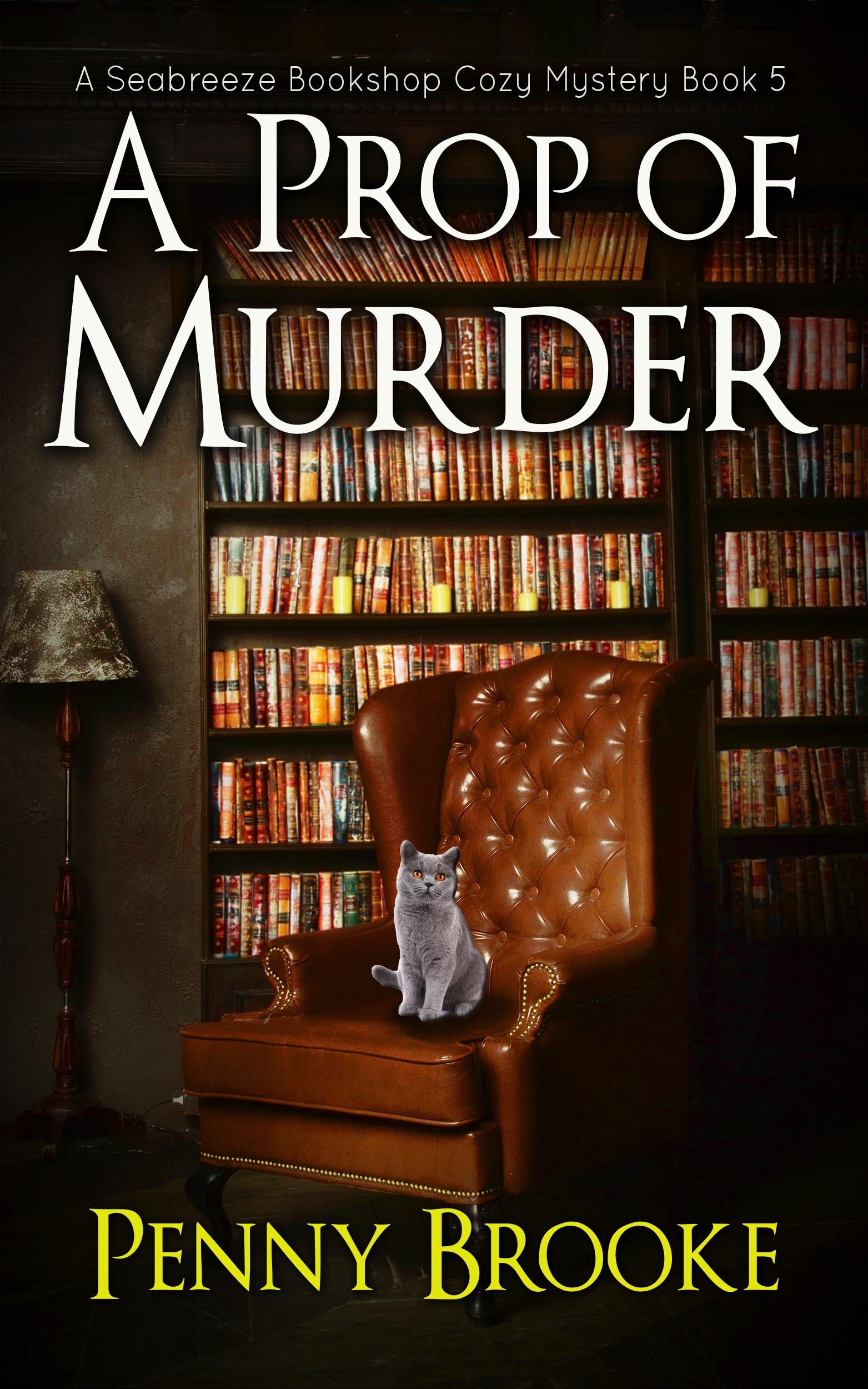A Prop of Murder (A Seabreeze Bookshop Cozy Mystery #5)