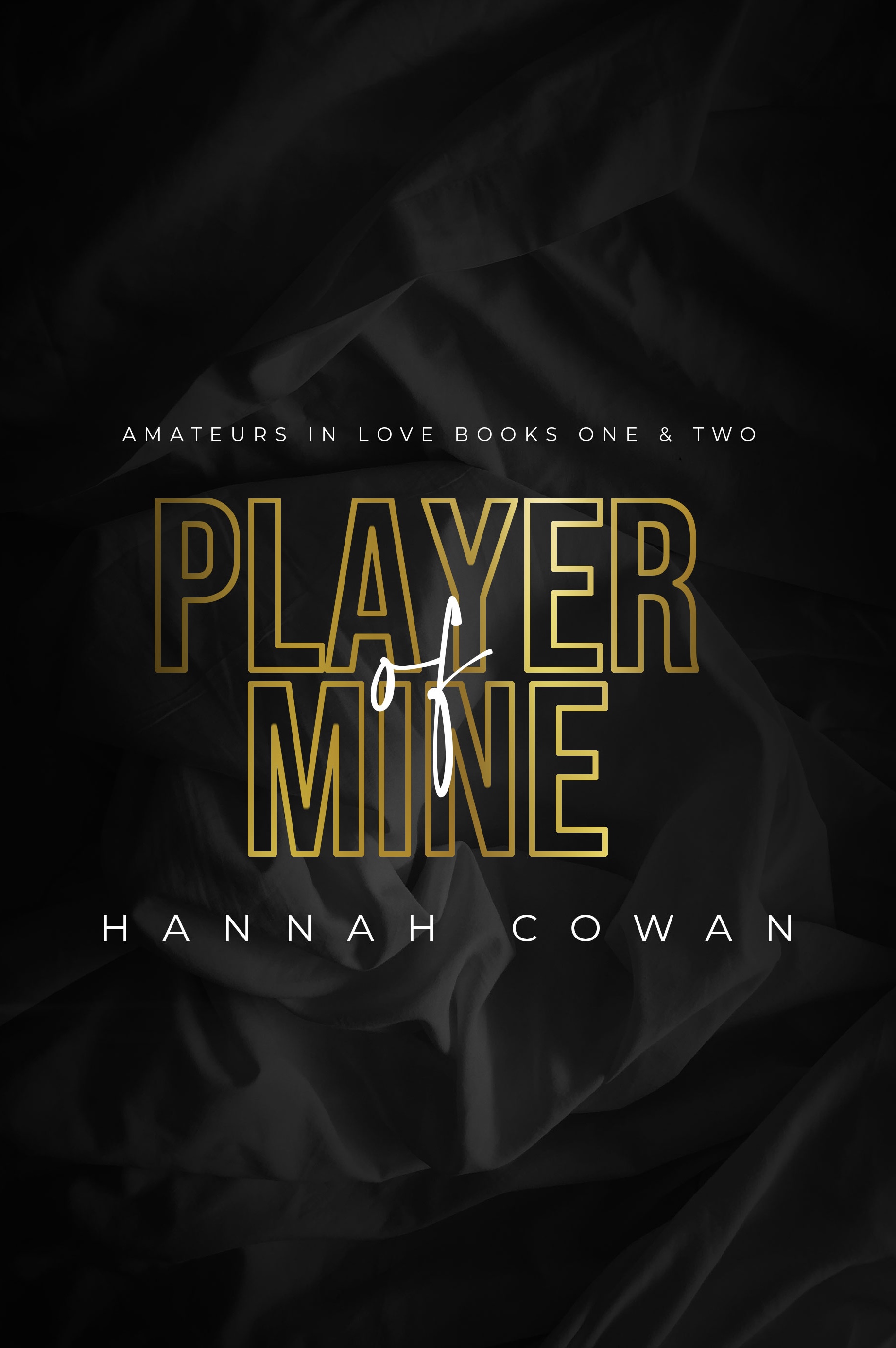 Player of Mine (Paperback)