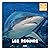 Mon 1er animalier - Requins