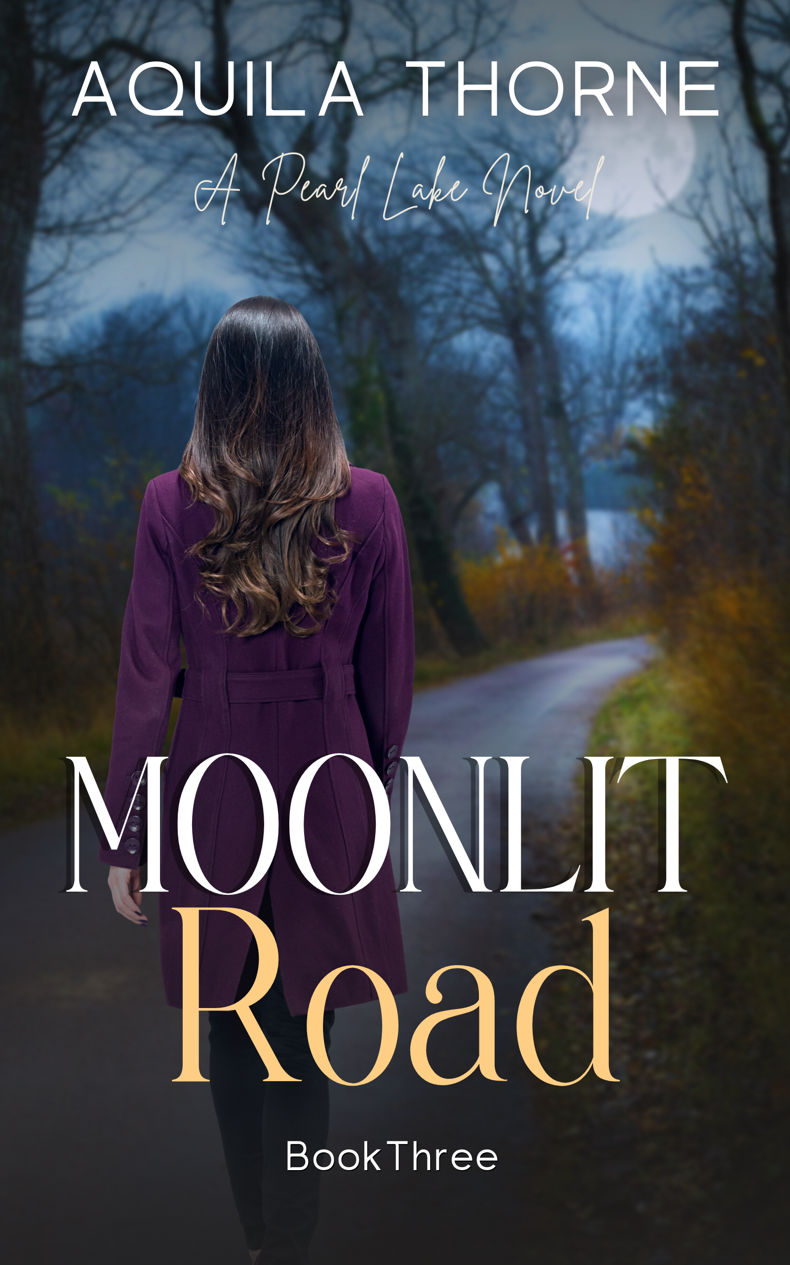 Moonlit Road (Pearl Lake, #3)