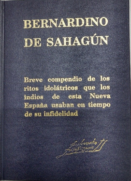 Breve compendio de los ritos idolátricos que los indios de esta Nueva España usaban en tiempo de su infielidad (Unknown Binding)