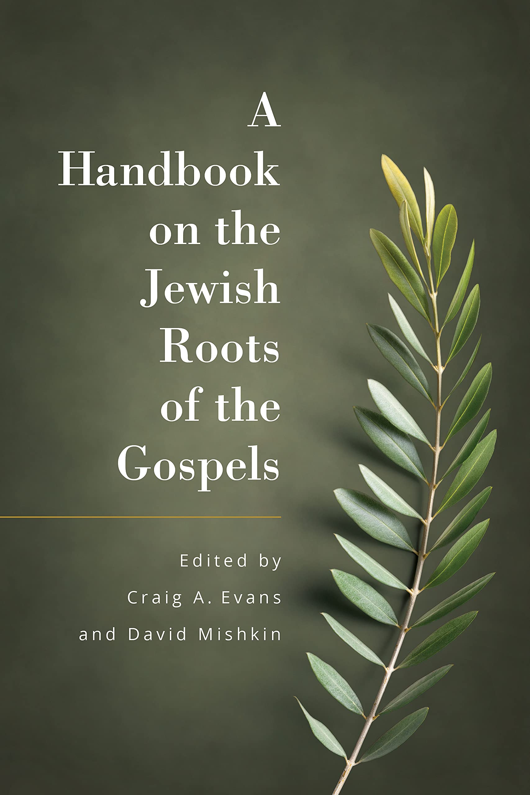 A Handbook on the Jewish Roots of the Gospels (Kindle Edition)