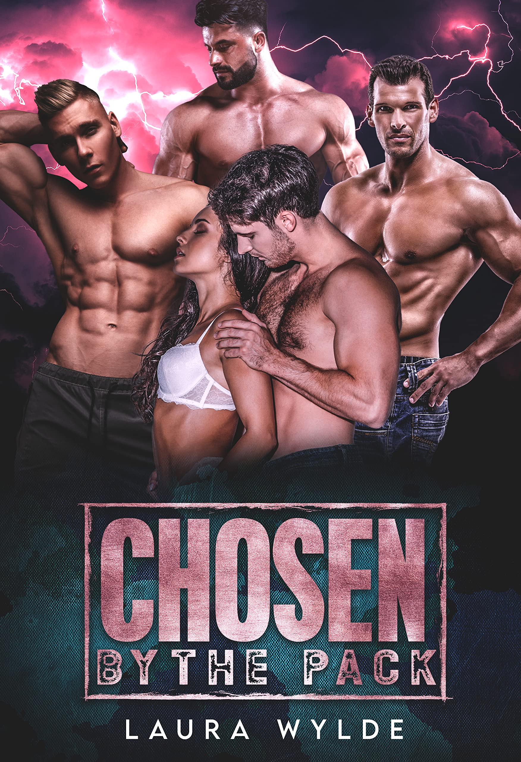 Chosen by the Pack (Her Pack Protectors, #2)