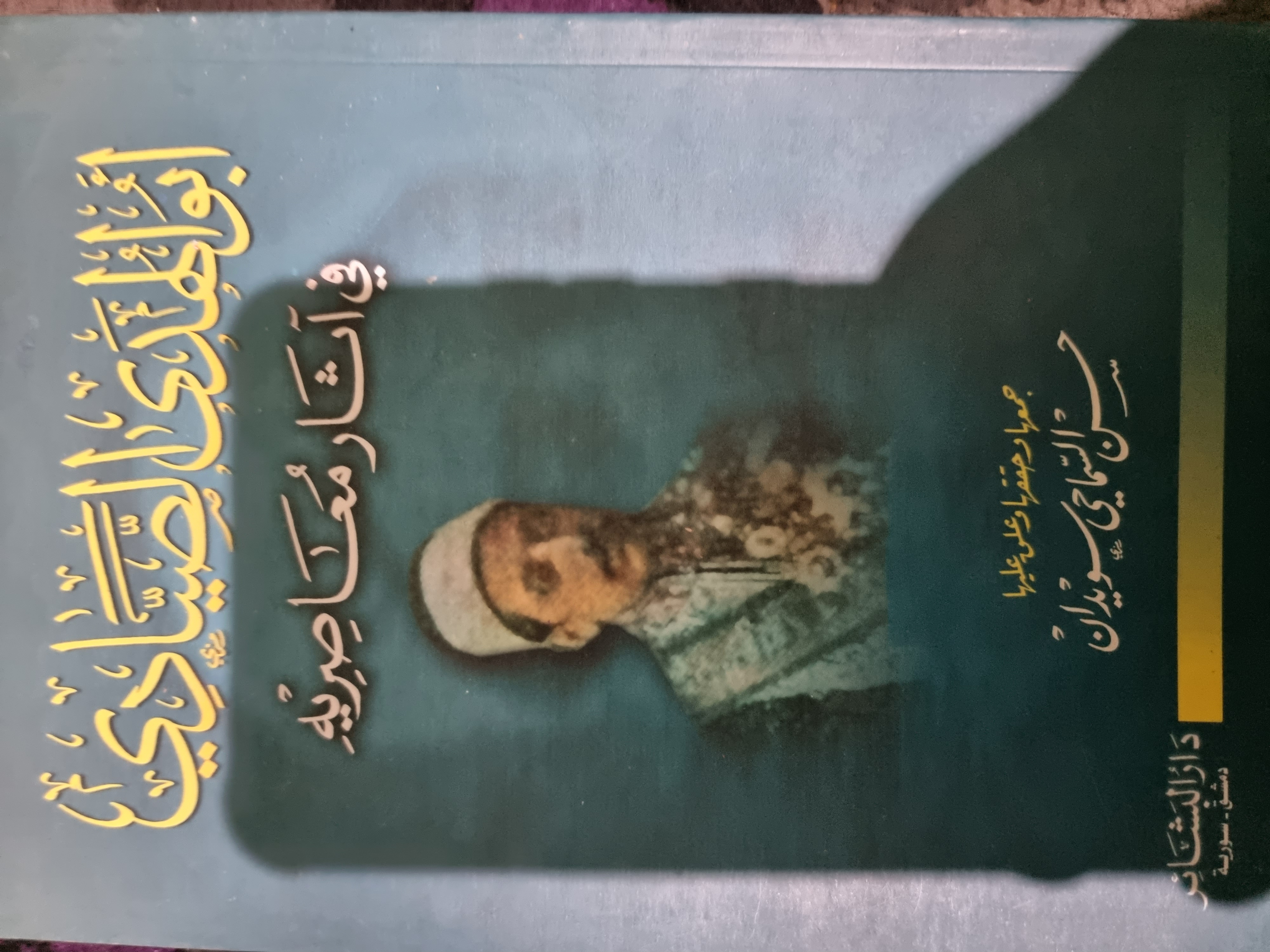 أبو الهدى الصيادي في آثار معاصريه