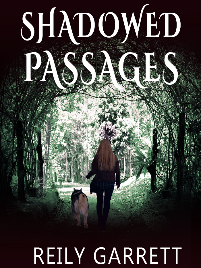 Shadowed Passages (The Guardians, #3)