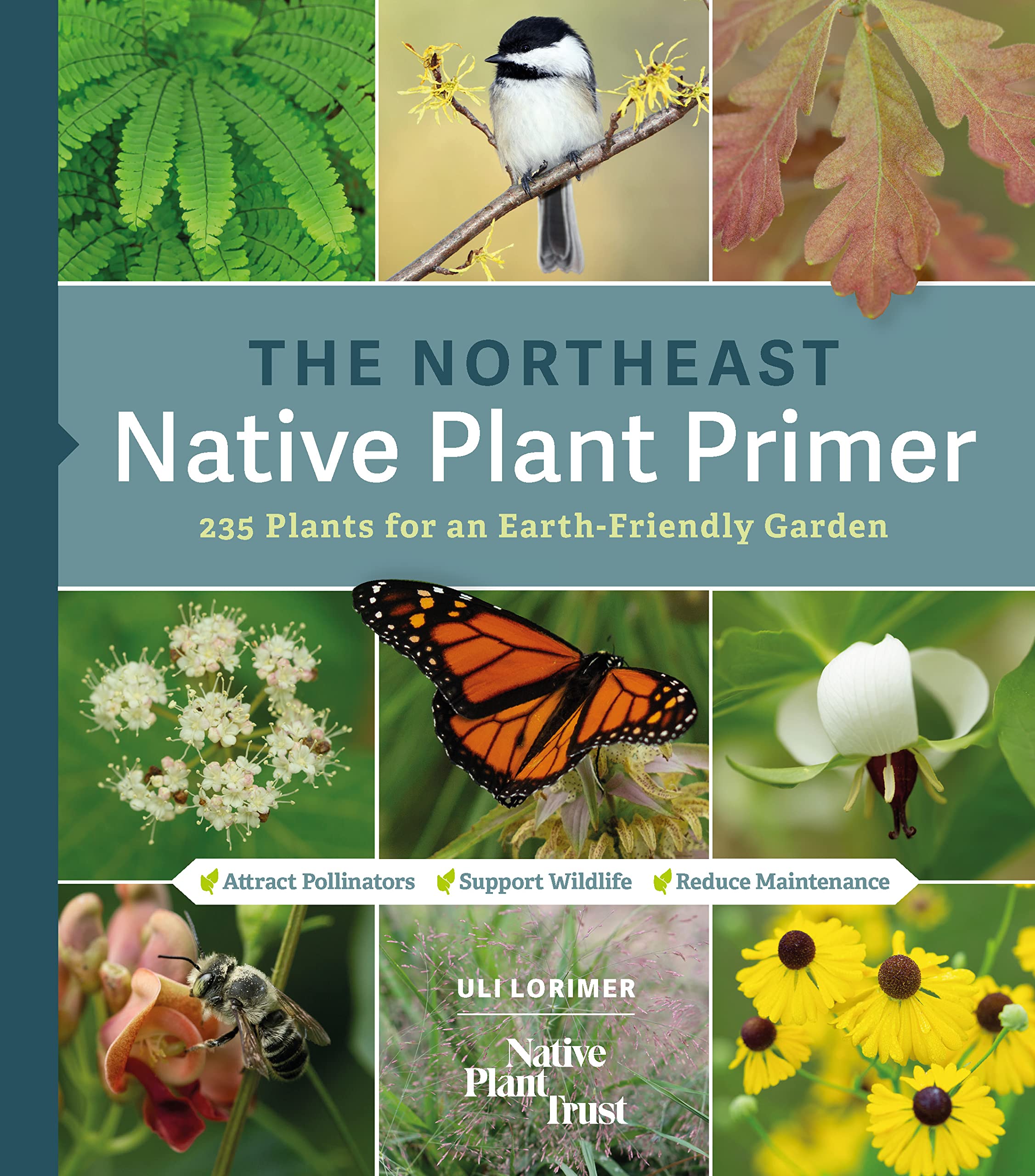 The Northeast Native Plant Primer: 235 Plants for an Earth-Friendly Garden (Kindle Edition)