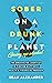 Sober On A Drunk Planet: Giving Up Alcohol (Quit lit, #1)
