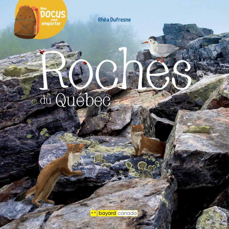 Roches du québec (Hardcover)