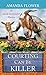 Courting Can Be Killer (Amish Matchmaker Mystery, 2)