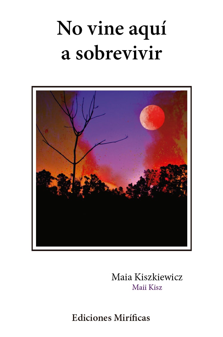 No vine aquí a sobrevivir (ebook)