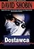 Dostawca