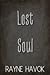 Lost Soul by Rayne Havok