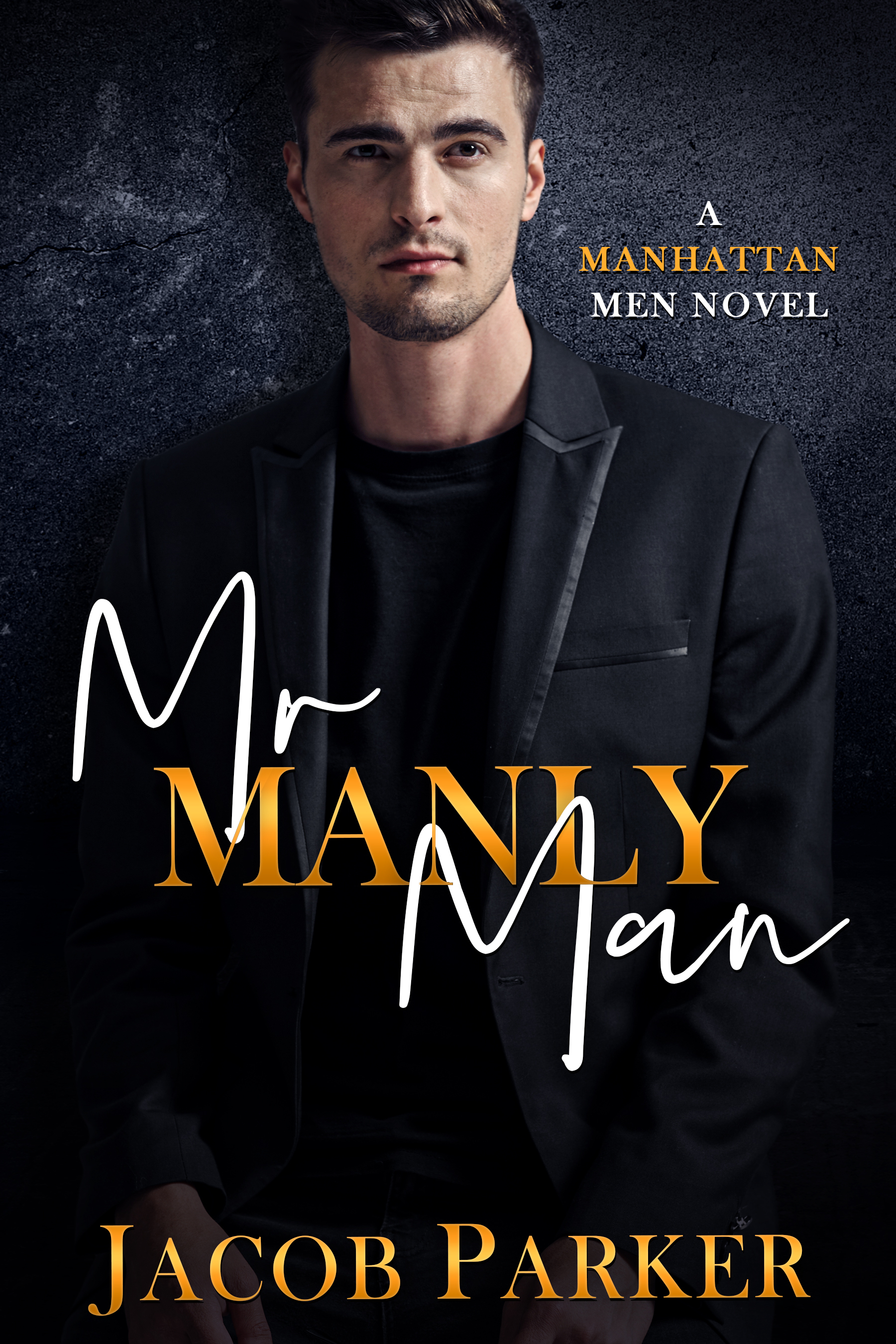 Mr. Manly Man (The Manhattan Men #3)