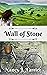 Wall of Stone by Nancy J. Farrier