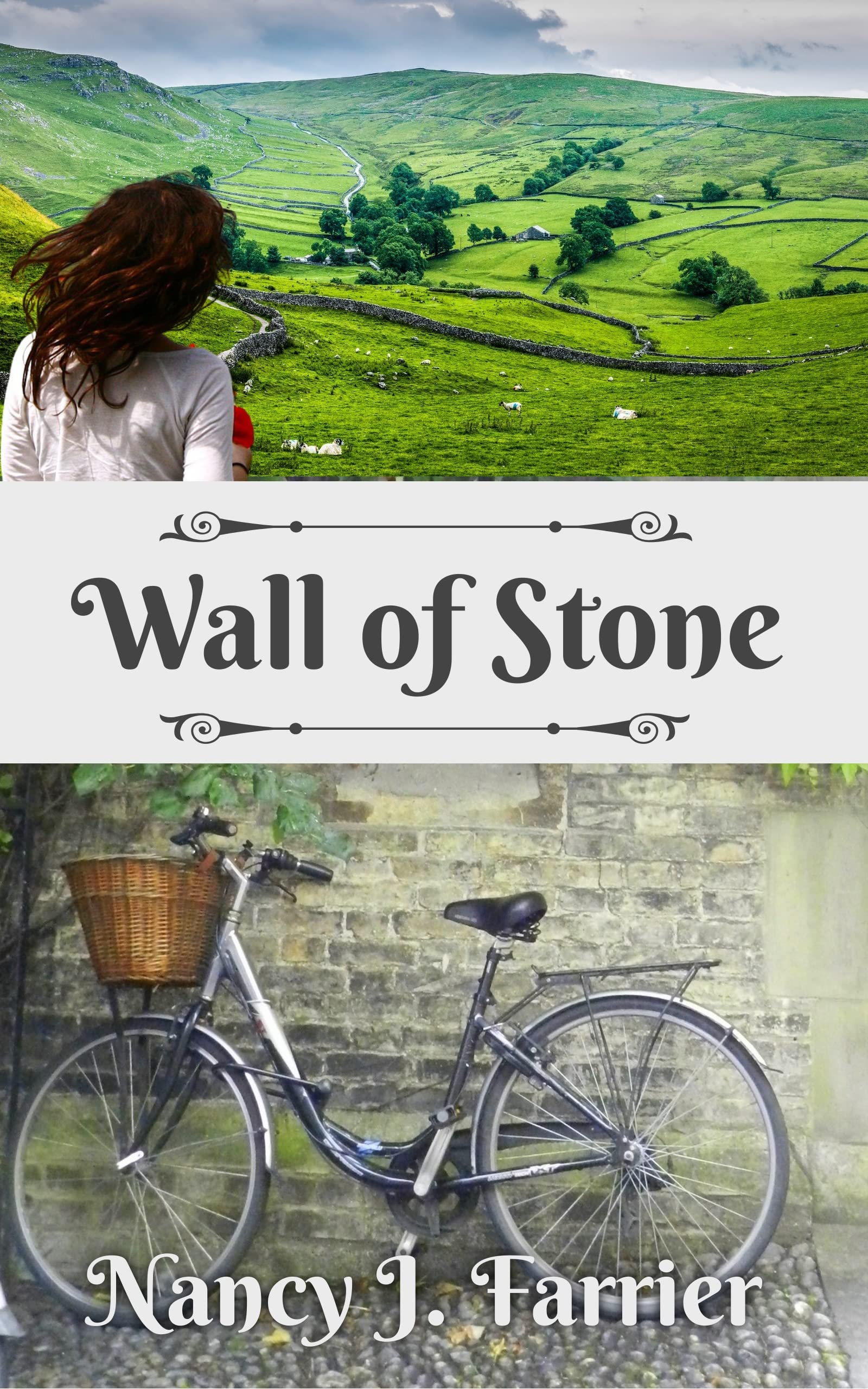 Wall of Stone (Kindle Edition)