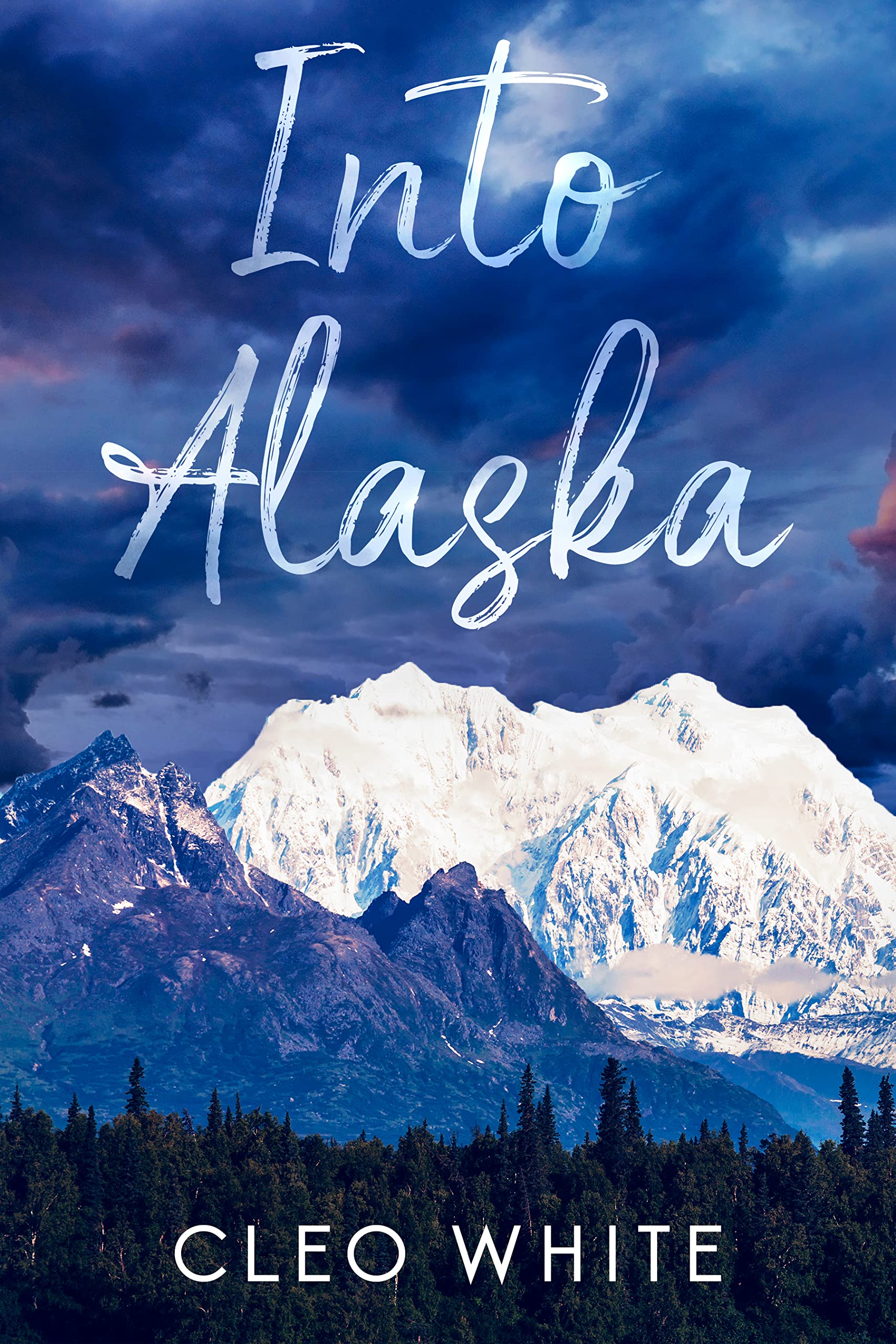 Into Alaska (Kindle Edition)