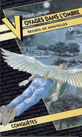 Voyages dans l'ombre (Paperback)