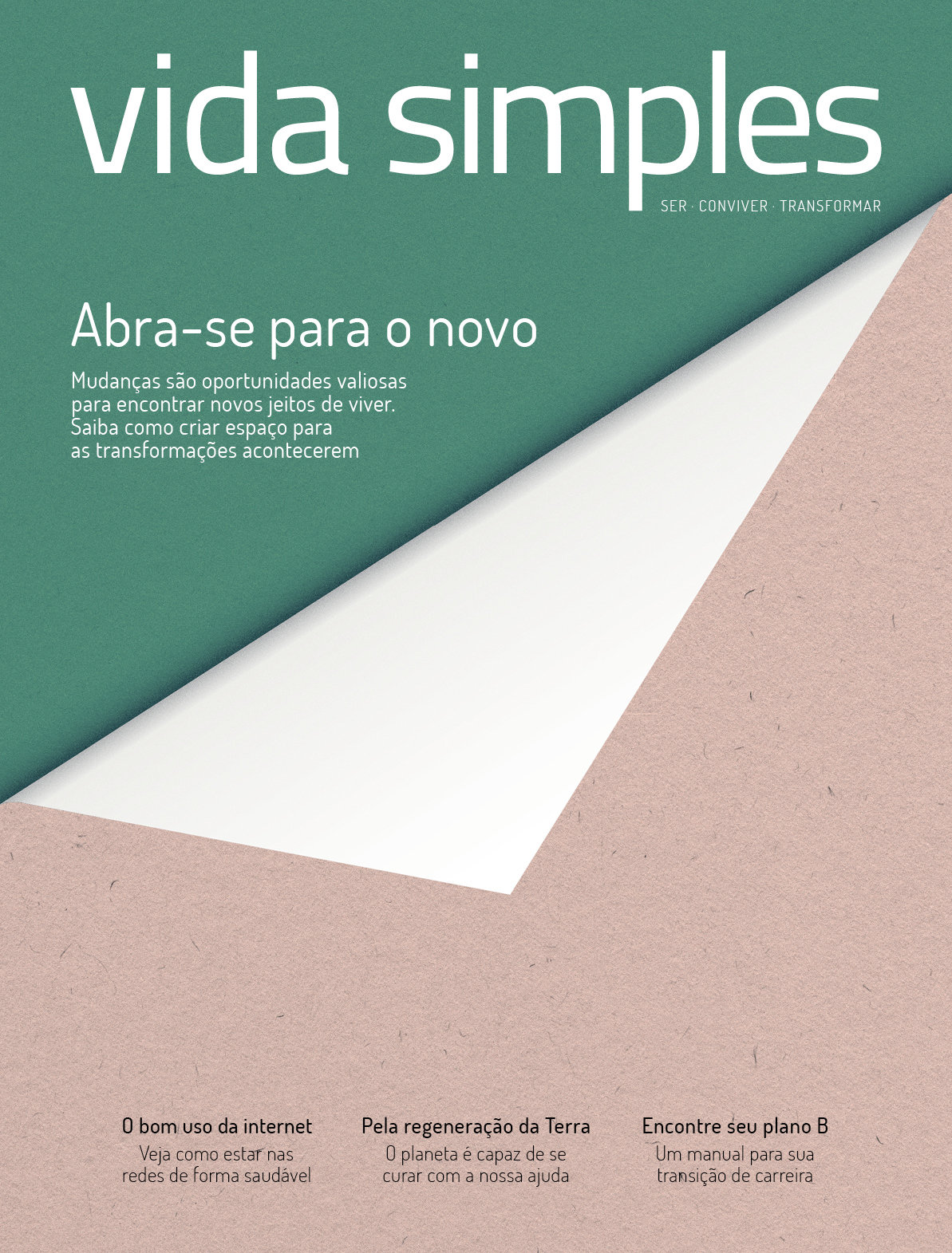 Vida Simples Ed. 235