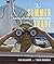 The Summer Trade by Alan MacEachern