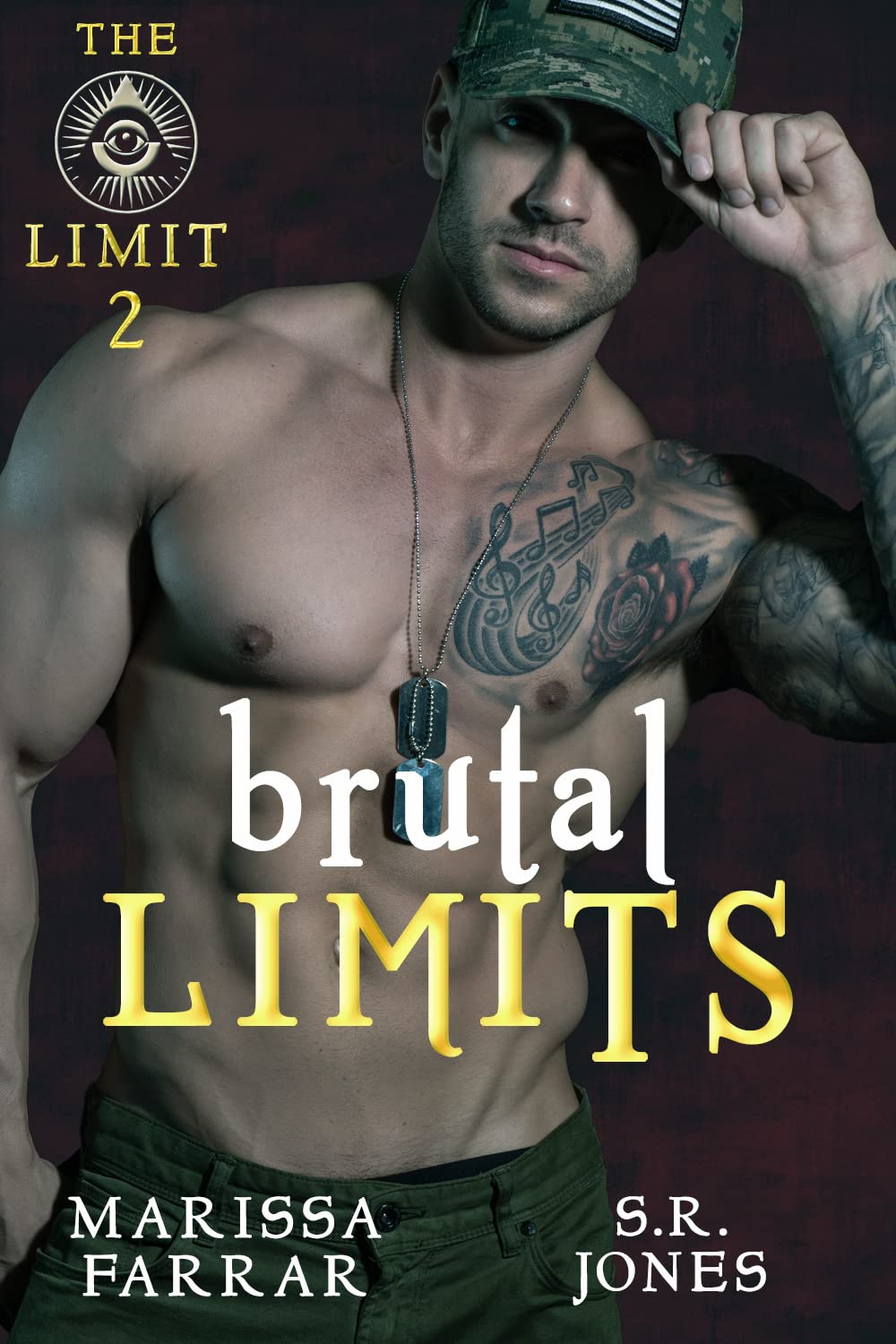 Brutal Limits (The Limit, #2)