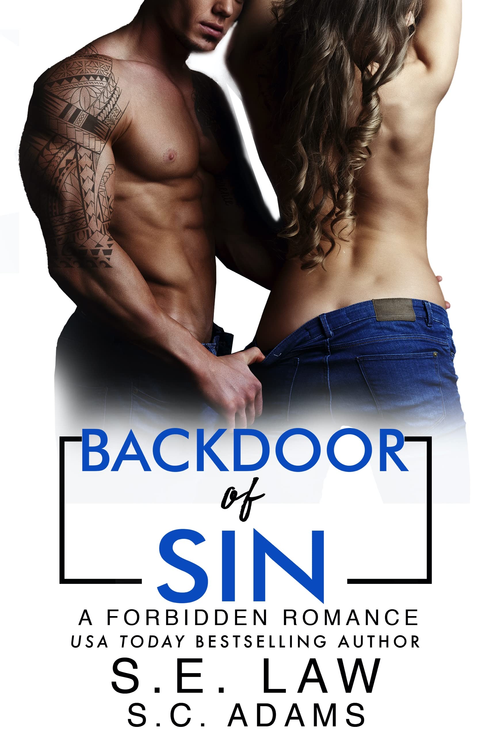 Backdoor of Sin (Sinful Journeys)