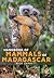 Handbook of Mammals of Madagascar