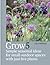 Grow 5: Simple seasonal ideas for small outdoor spaces with just five plants
