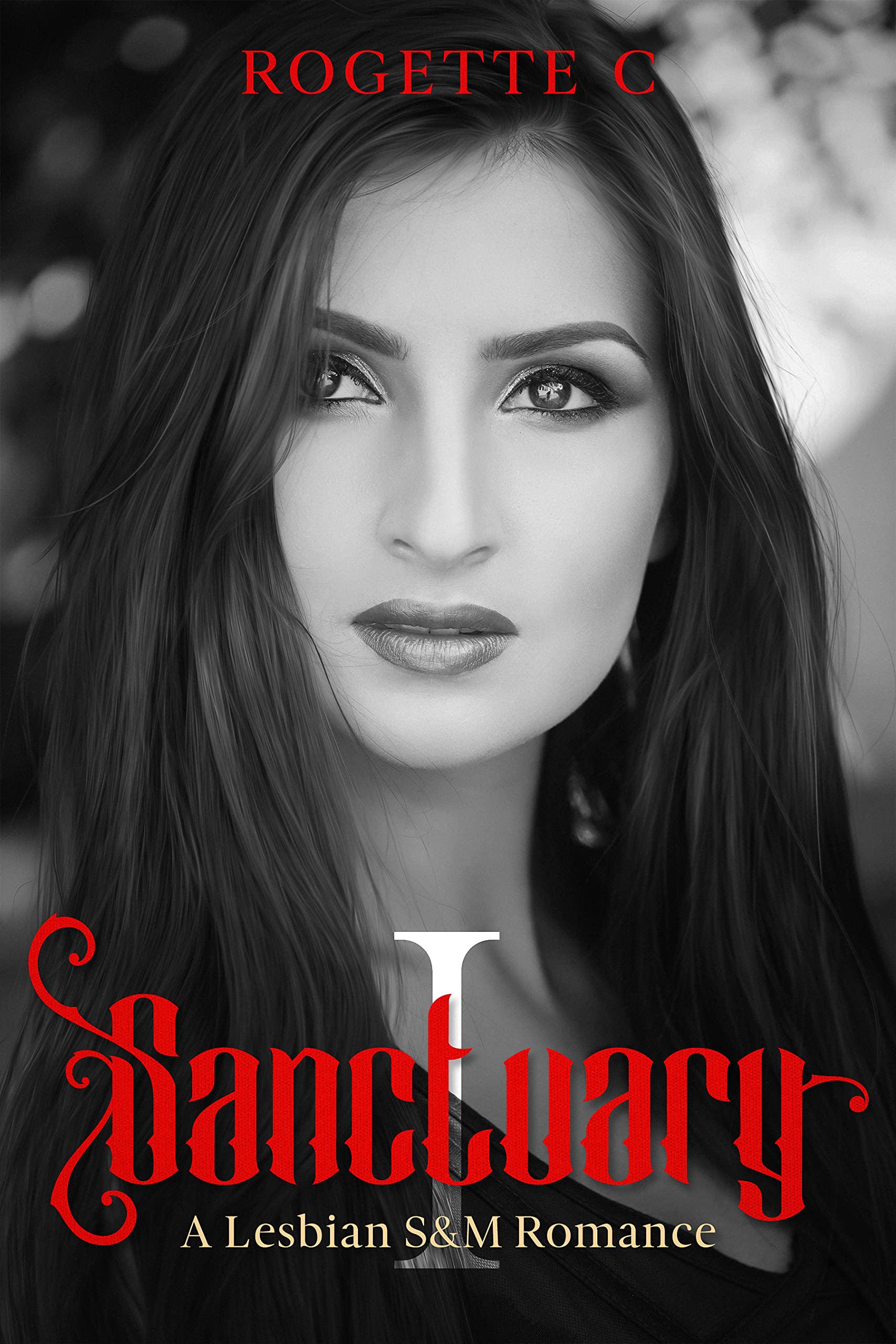 Sanctuary I: A Lesbian S&M Romance (Kindle Edition)