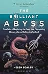 The Brilliant Aby...