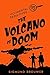 The Volcano of Doom (Accidental Detectives #13)