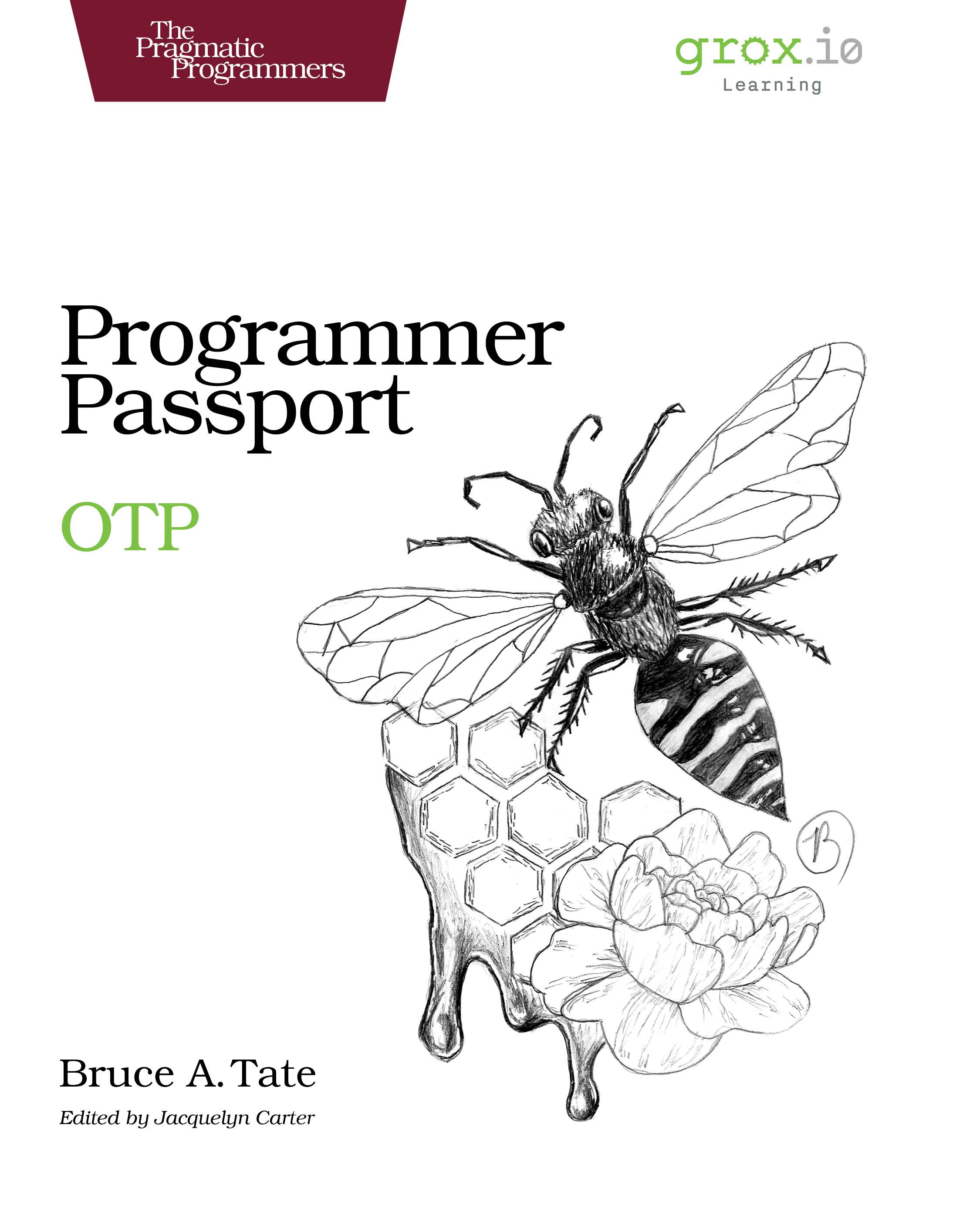 Programmer Passport: OTP (Paperback)