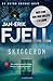 Skyggerom (Anton Brekke #2)