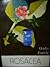 Rosácea