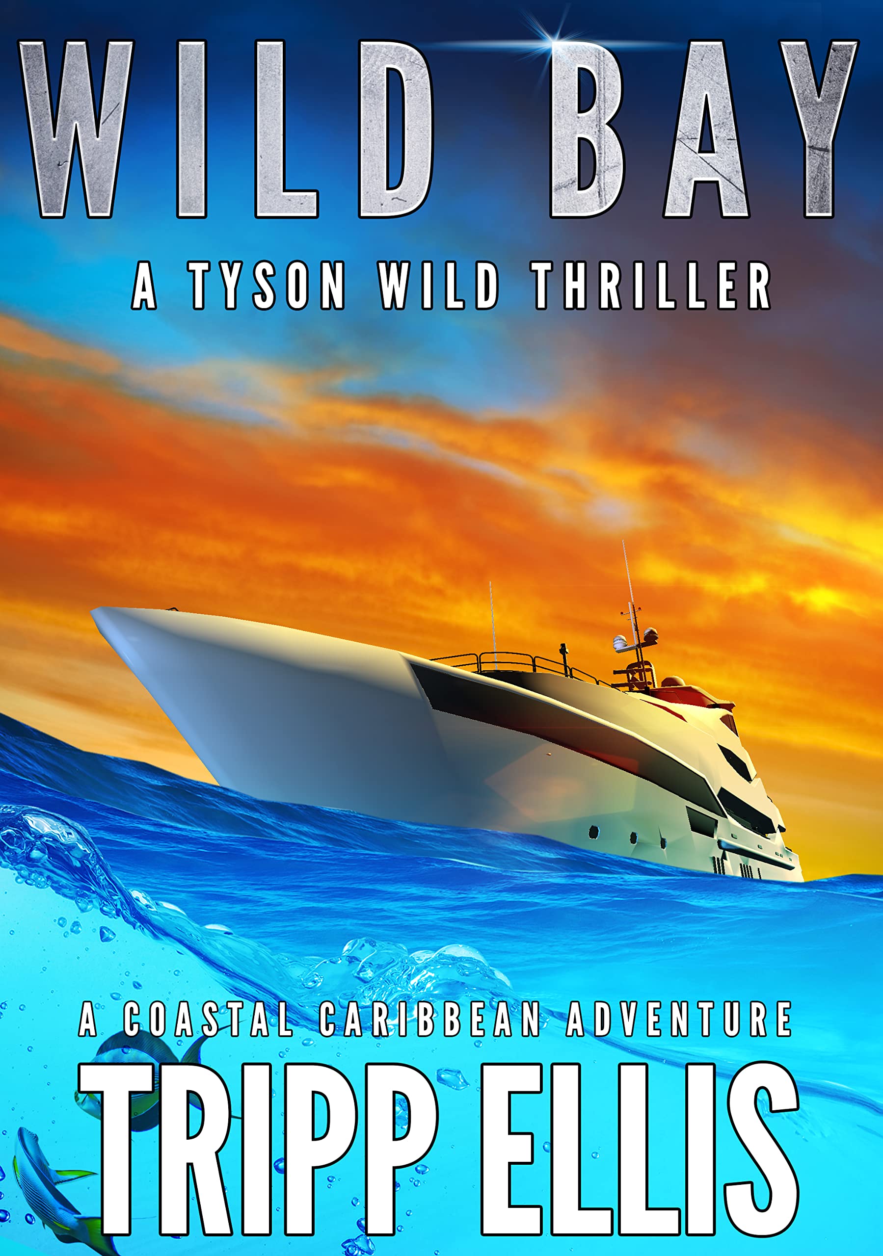 Wild Bay (Tyson Wild Thriller, #41)
