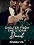 Shelter From the Storm - Da...