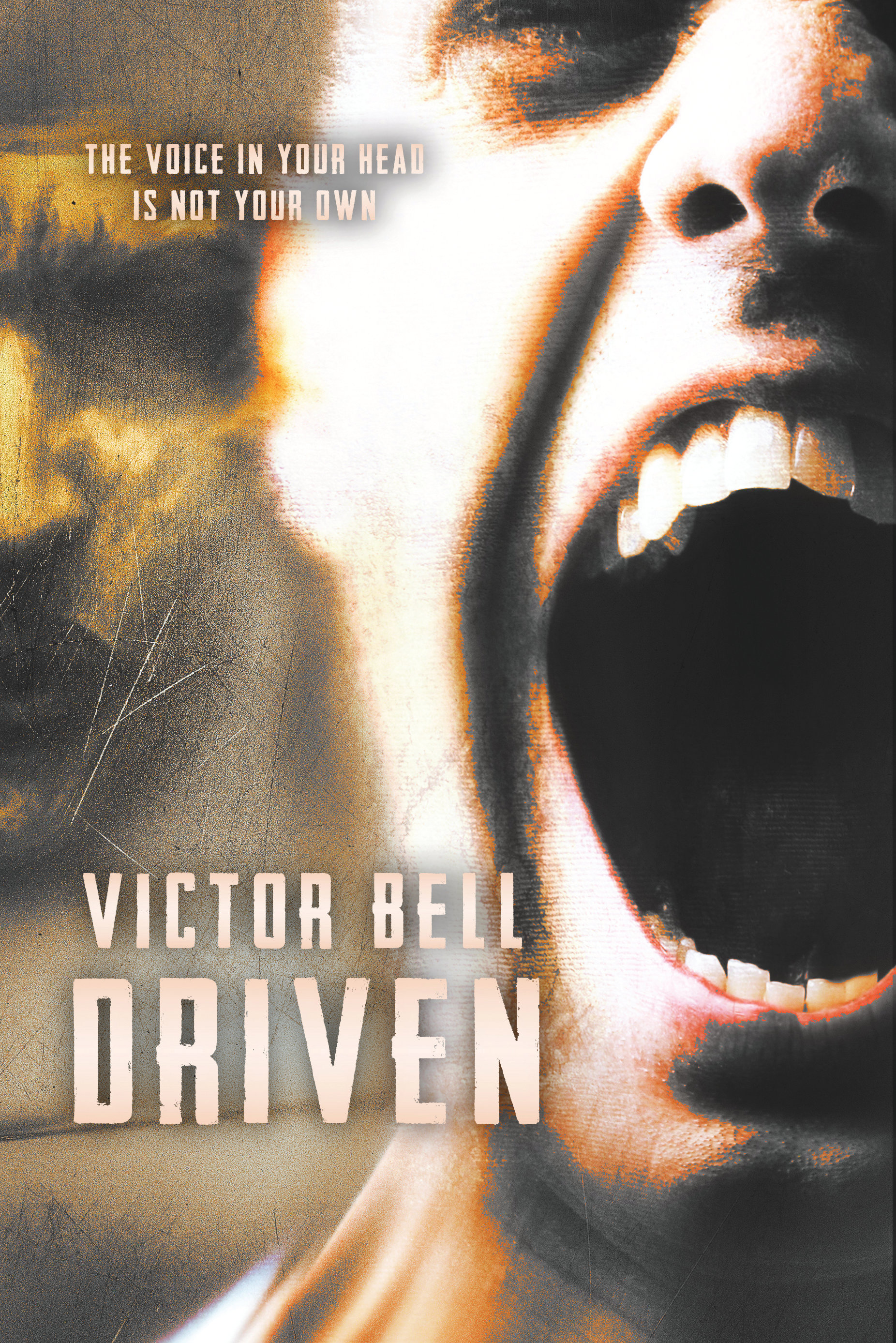 Driven (Kindle Edition)