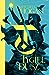 Tygiel Dusz (Hierarchia Magii, #1)