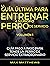 La Guía Ultima Para Entrena...