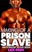 Making of a Prison Slave by Lex Papi