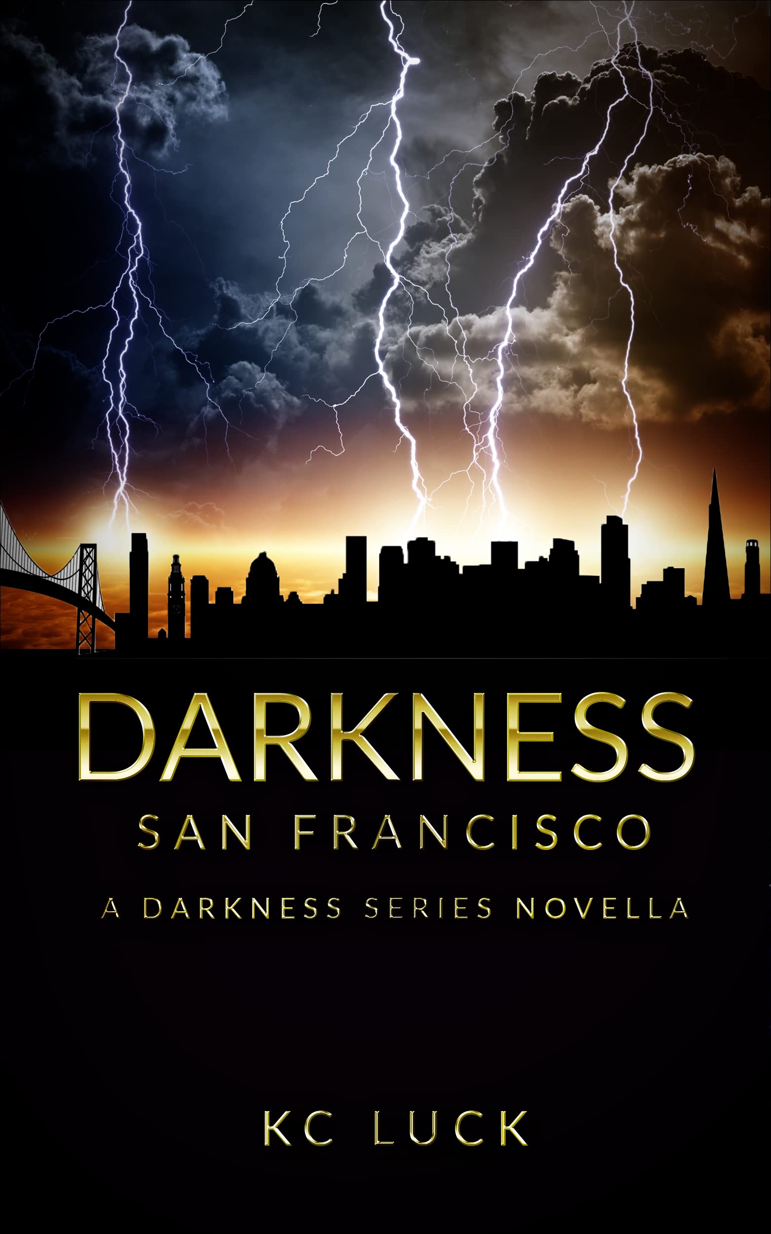 Darkness San Francisco (Darkness, #5)