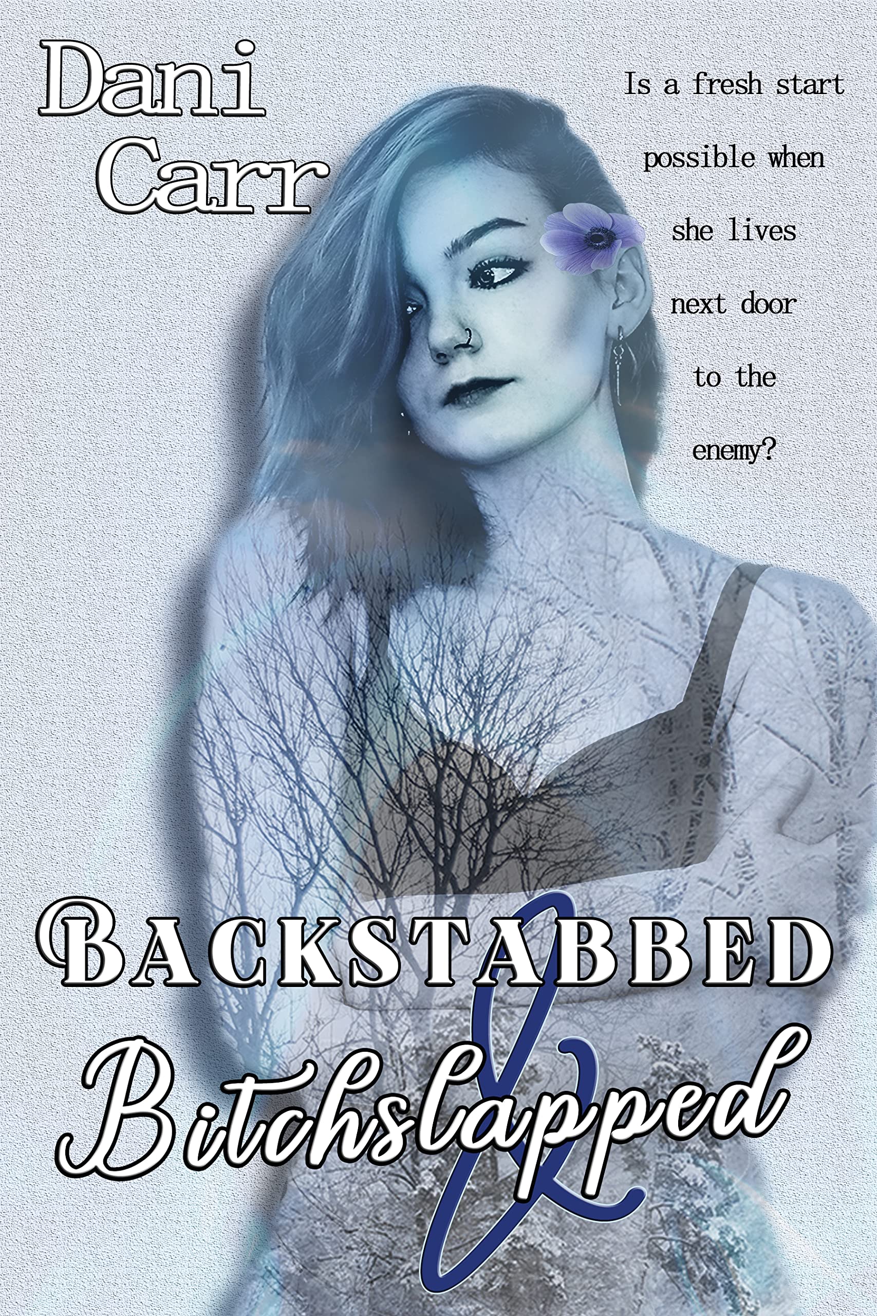 Backstabbed & Bitchslapped (Dragon Drillers MC #1)