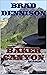 BAKER CANYON by Brad Dennison